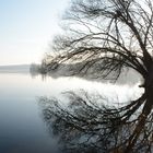 Winterlicher Morgen am Jungfernsee, Potsdam