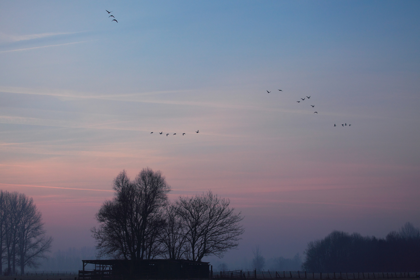 Winterlicher Morgen am Niederrhein