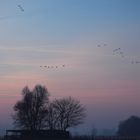 Winterlicher Morgen am Niederrhein