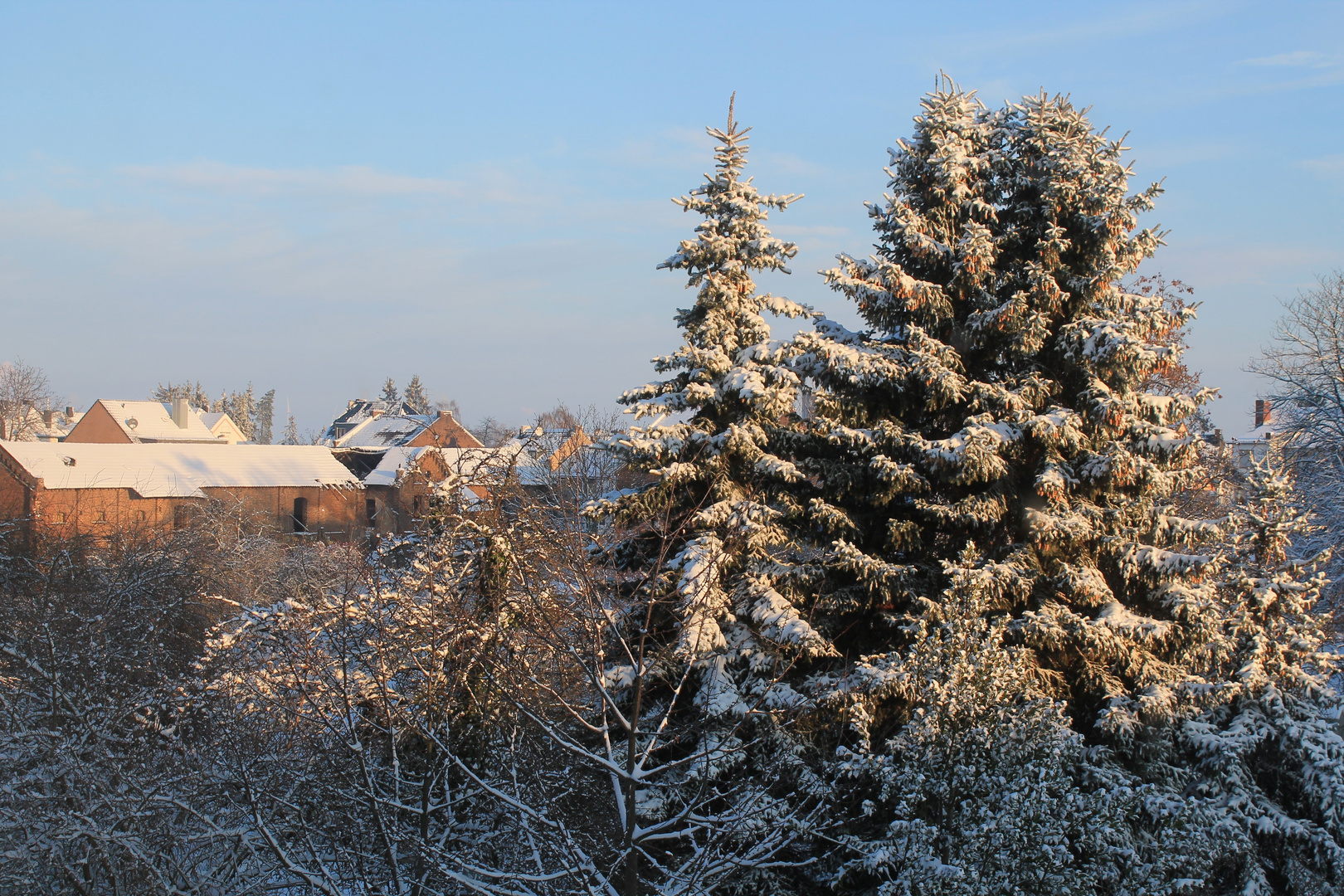 winterlicher Morgen