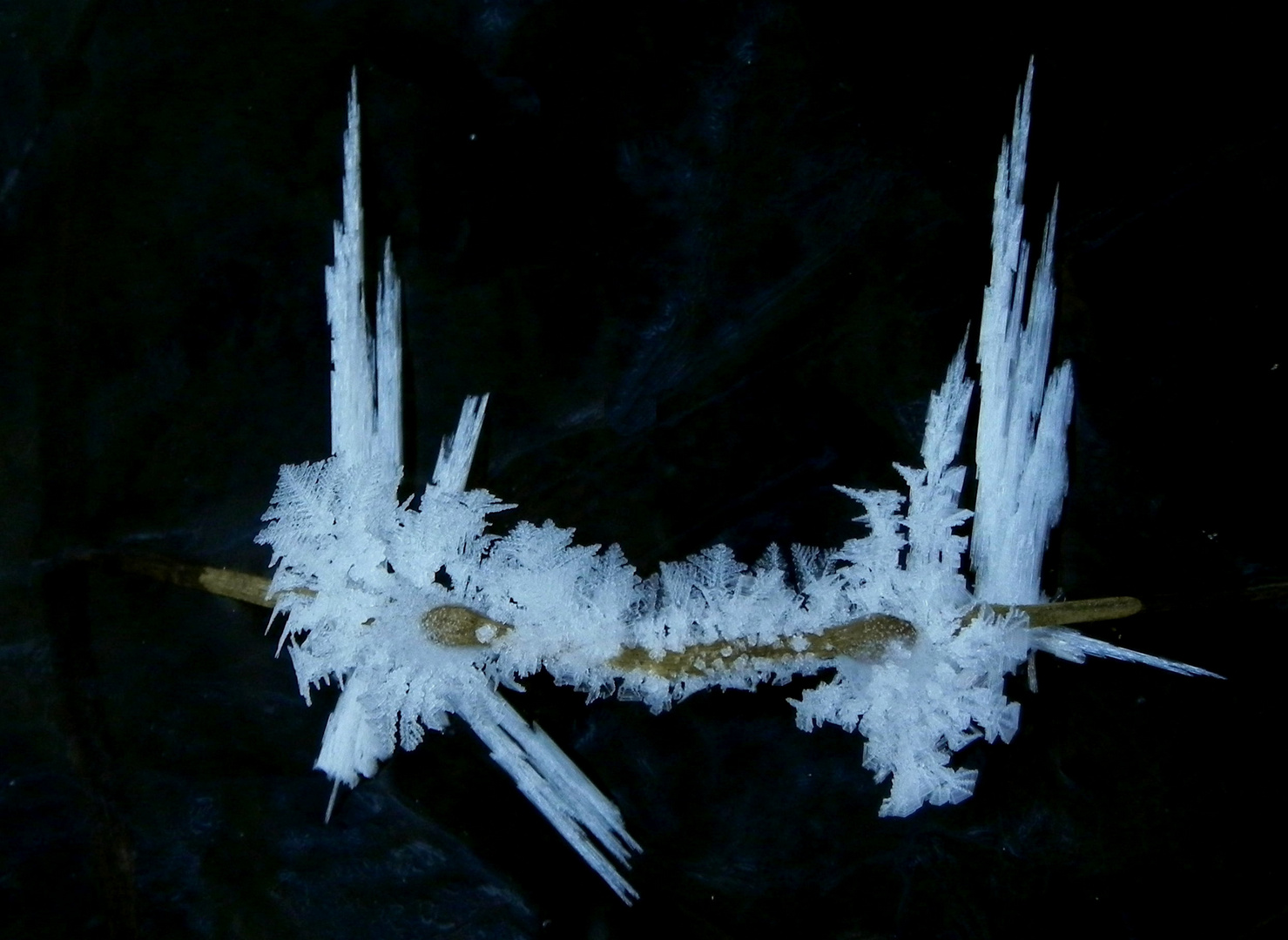 Winterlicher Naturschmuck