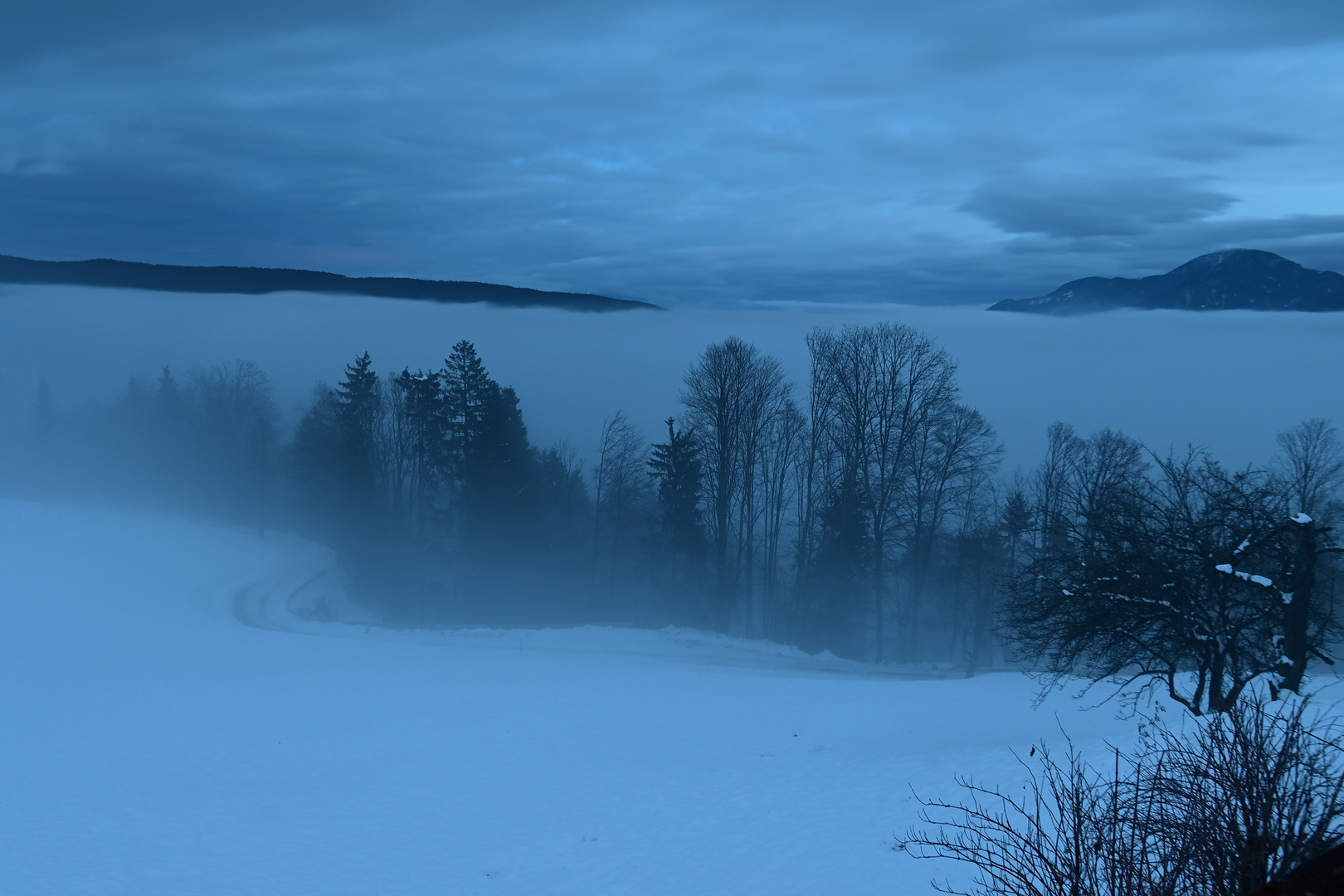 Winterlicher Nebel 
