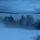 Winterlicher Nebel 