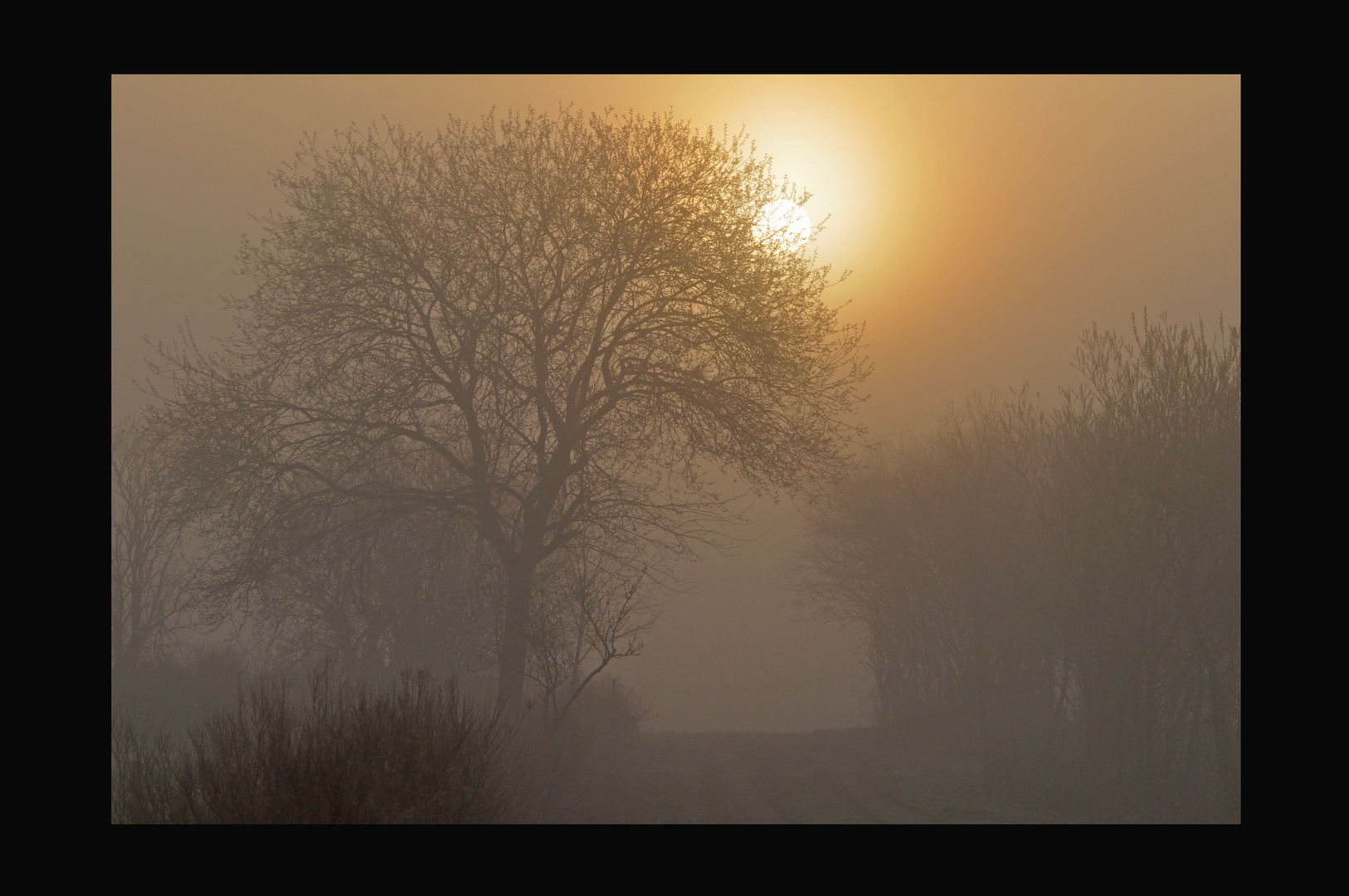 Winterlicher Nebel in Schleswig-Holstein