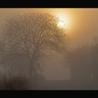 Winterlicher Nebel in Schleswig-Holstein