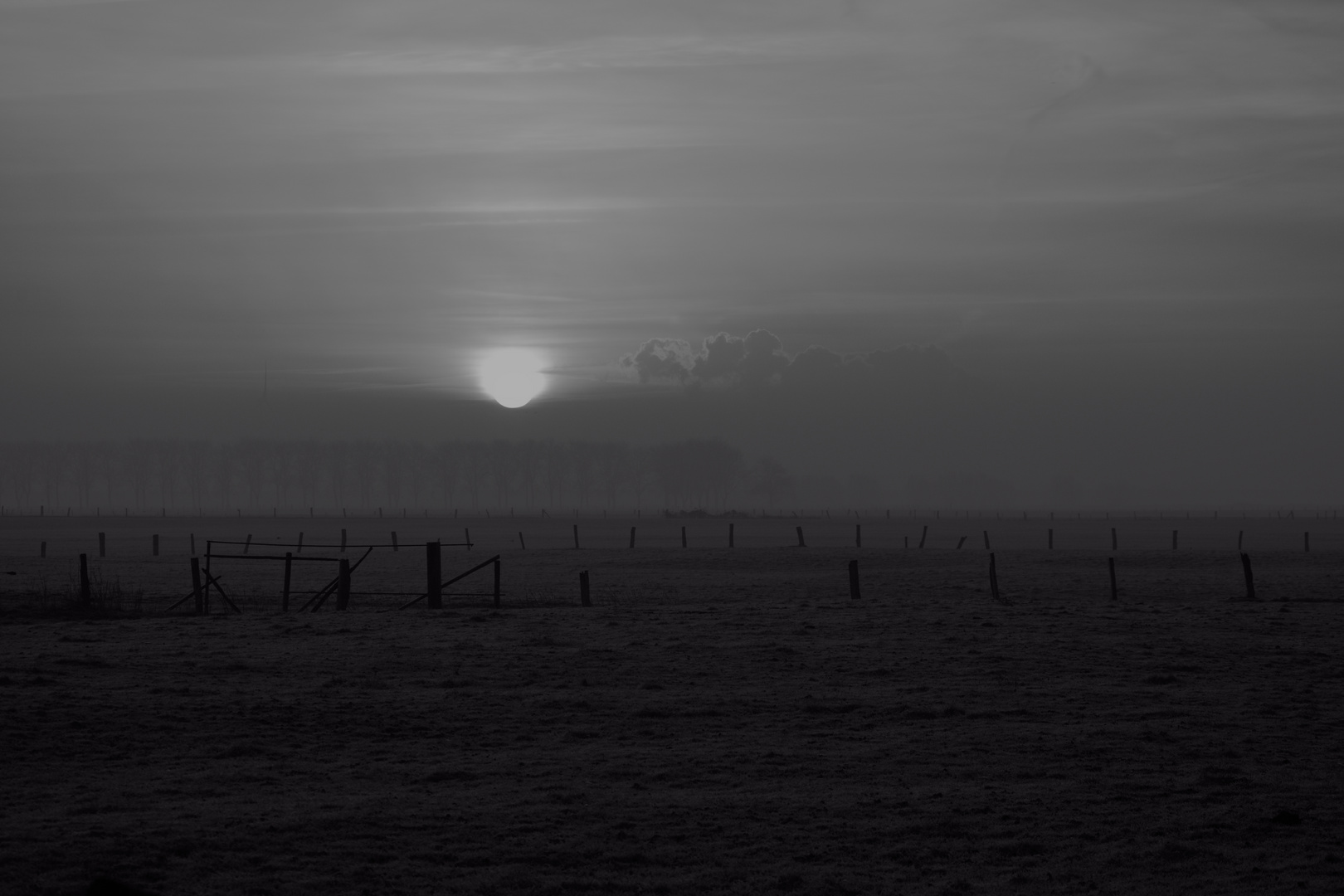 Winterlicher Nebelmorgen