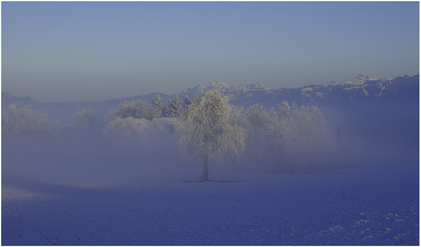 Winterlicher Nebelzauber