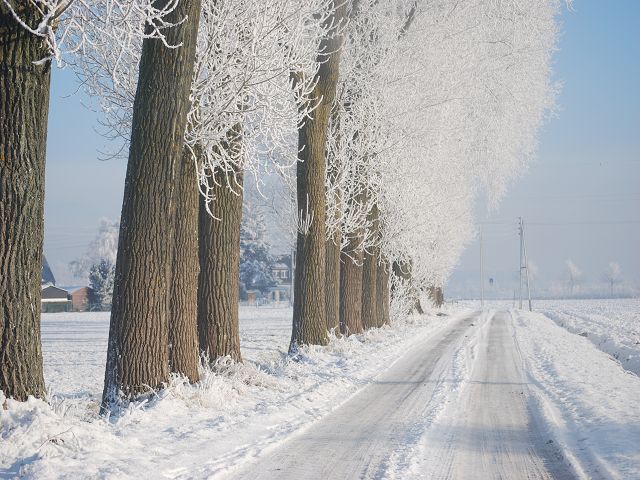 Winterlicher Niederrhein 3