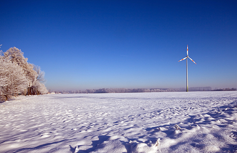 Winterlicher Niederrhein (Farbversion)