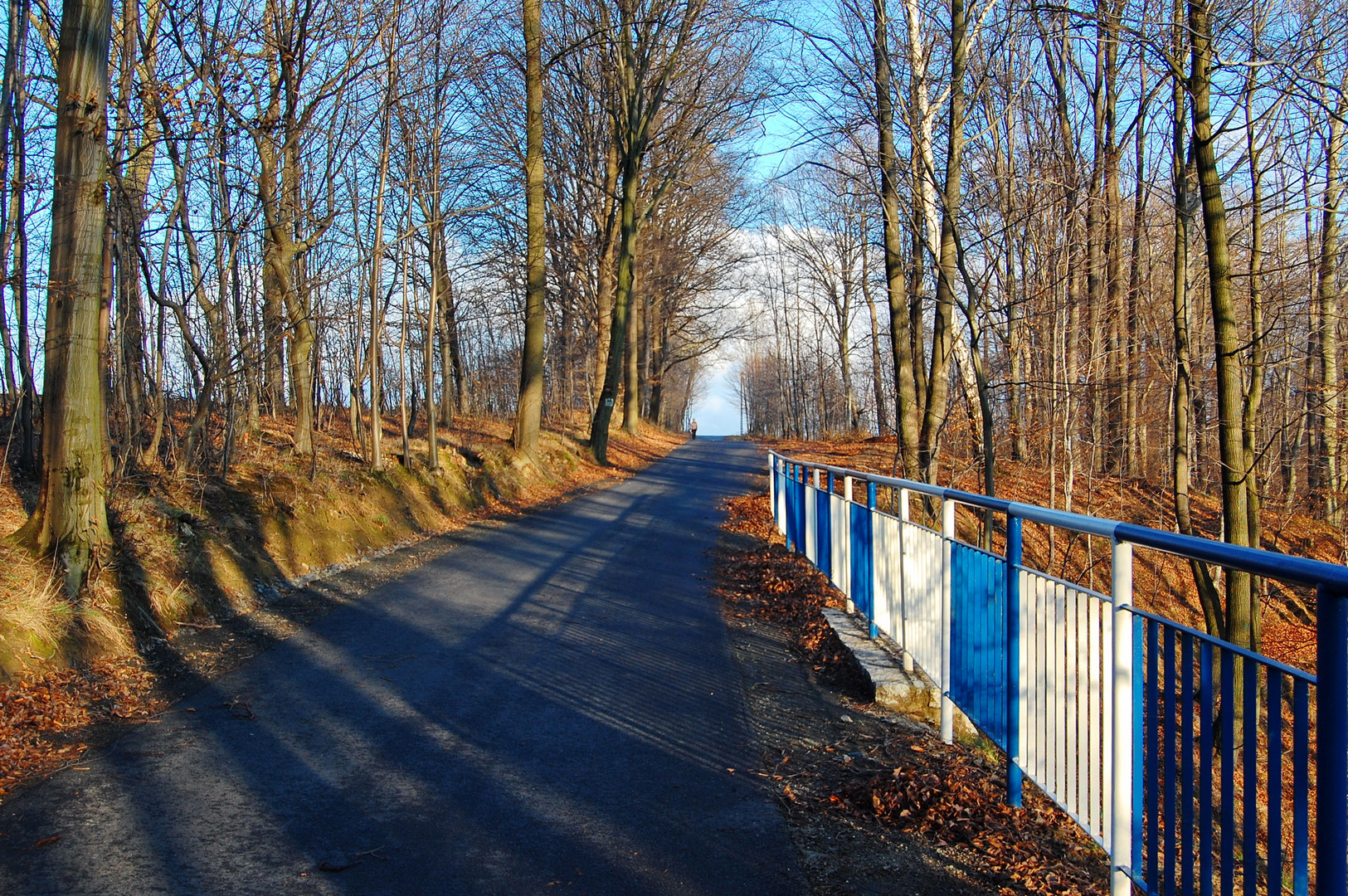 Winterlicher Nordic Walking
