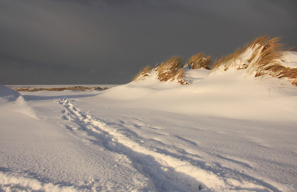 winterlicher Nordstrand