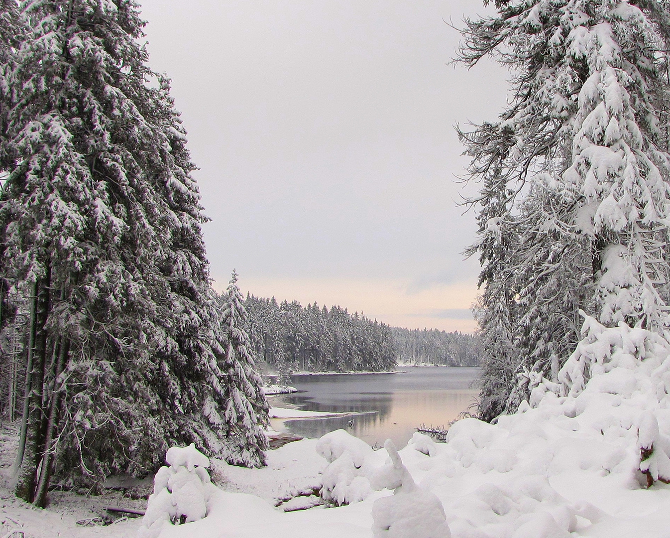 Winterlicher Oderteich