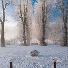 Winterlicher Park Dummerstorf vom Gutshaus aus