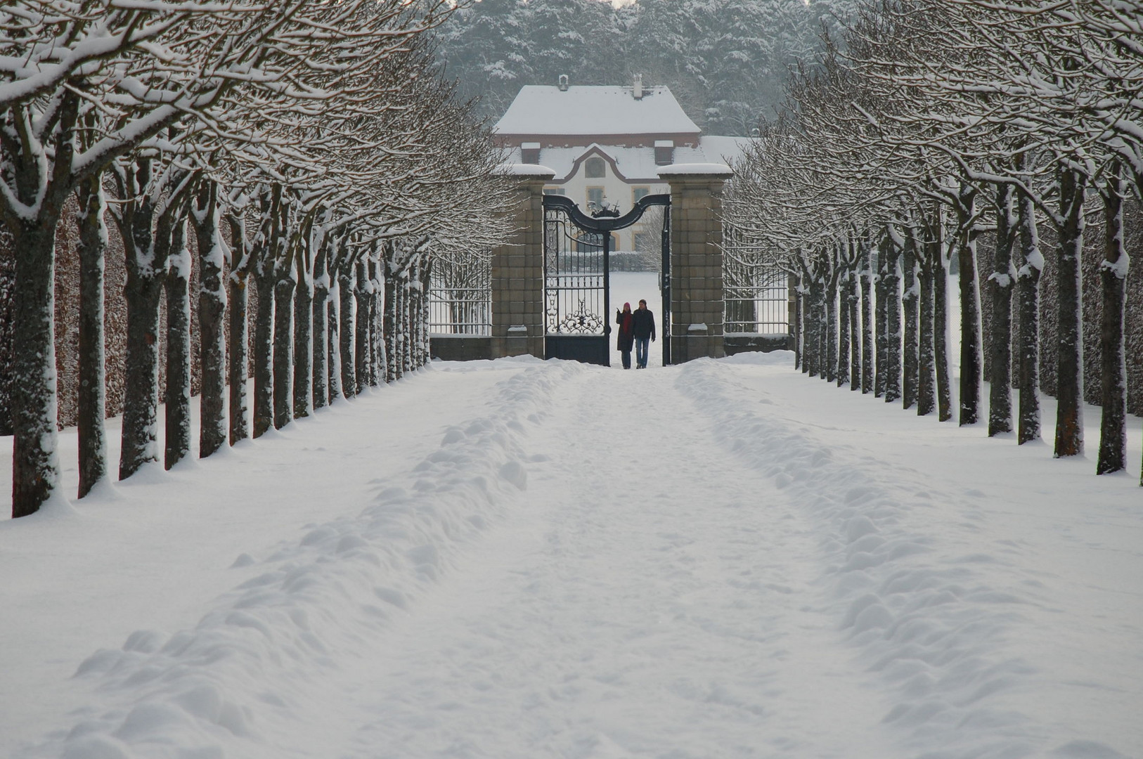 Winterlicher Park von Schloß Seehof