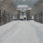 Winterlicher Park von Schloß Seehof