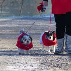 Winterlicher Partnerlook ;-))