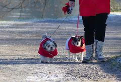 Winterlicher Partnerlook ;-))