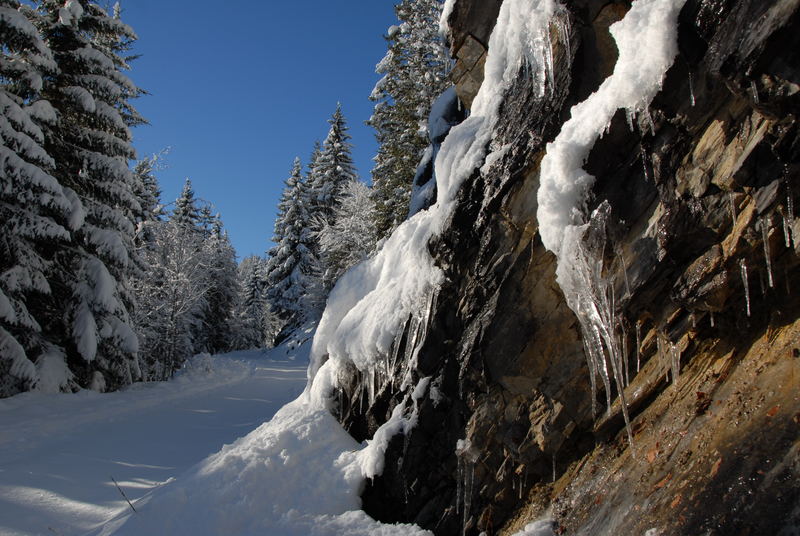 ....winterlicher Pfad hoch über dem Churer Rheintal