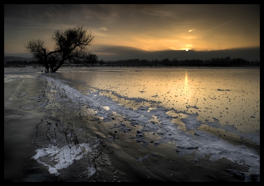 - winterlicher Polder -