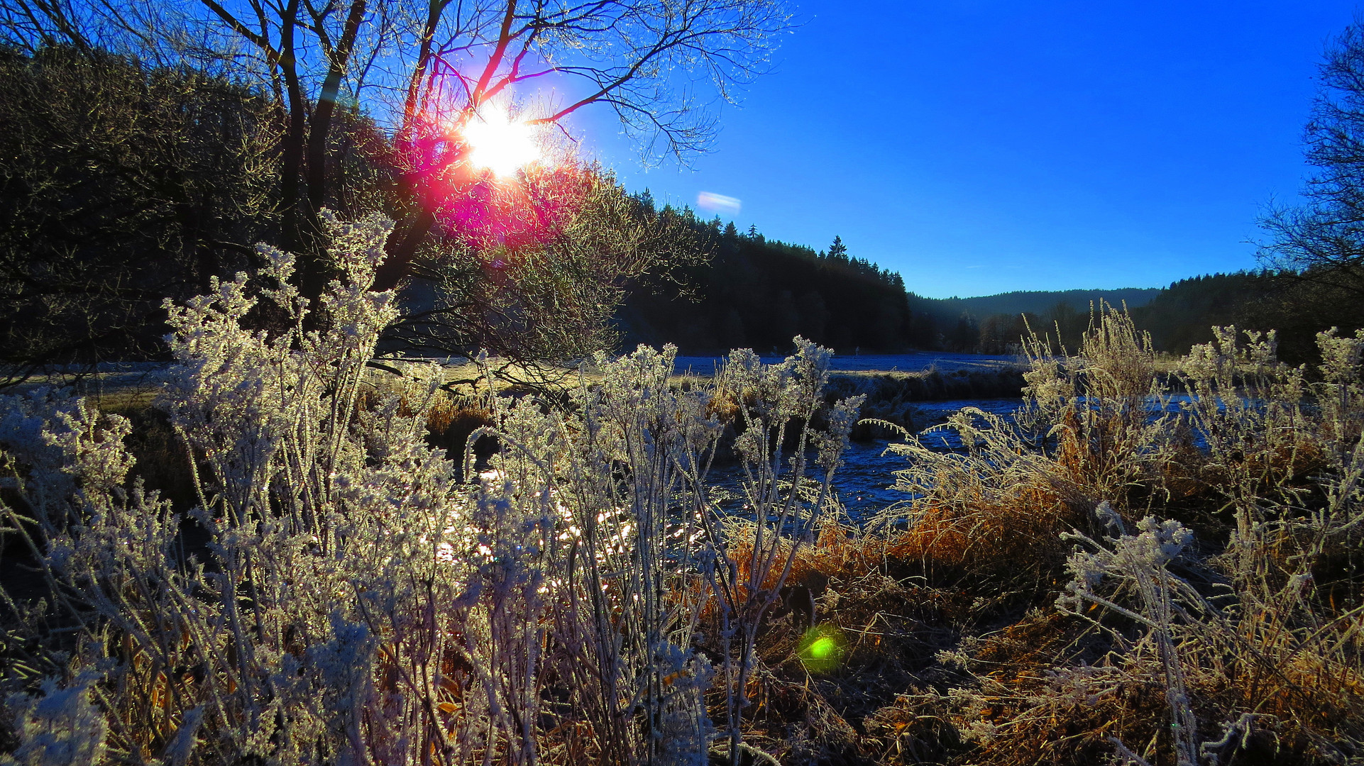 Winterlicher Raureif am Fluss