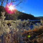 Winterlicher Raureif am Fluss