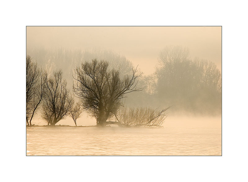 winterlicher Rhein