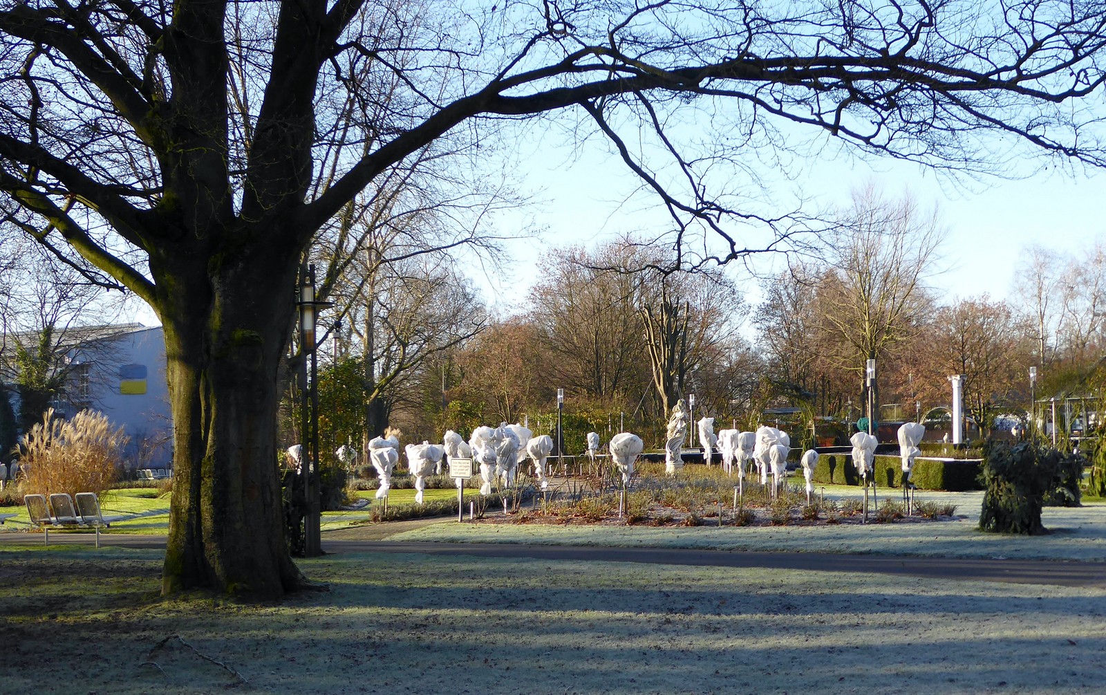 Winterlicher Rosengarten