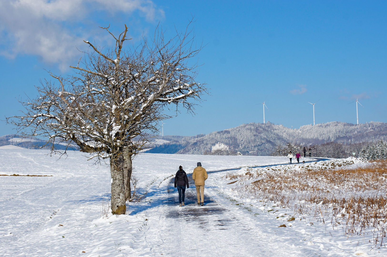 winterlicher Rundgang