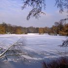 Winterlicher Schrevenpark