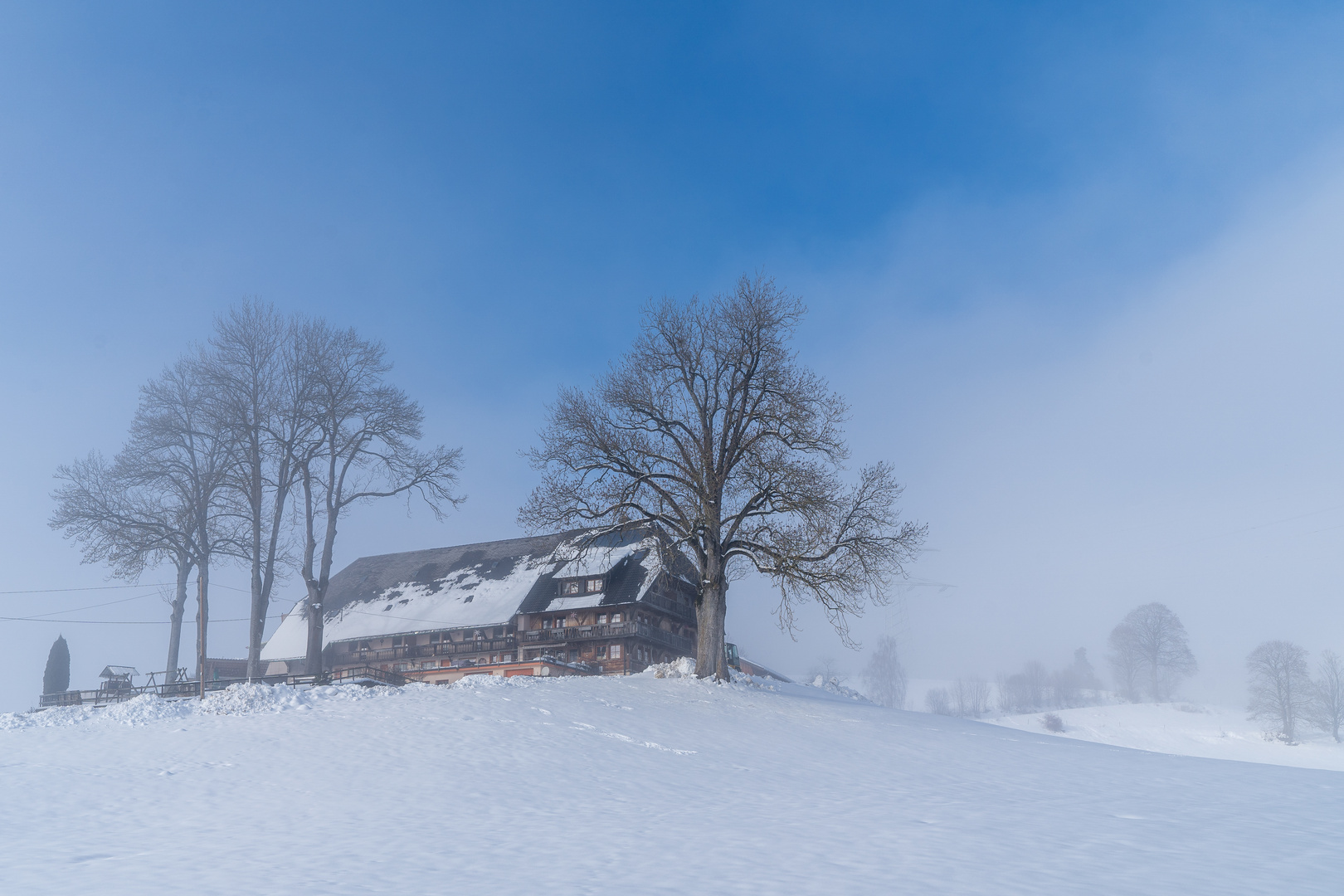 Winterlicher Schwarzwald