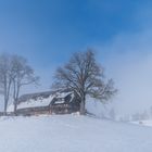 Winterlicher Schwarzwald