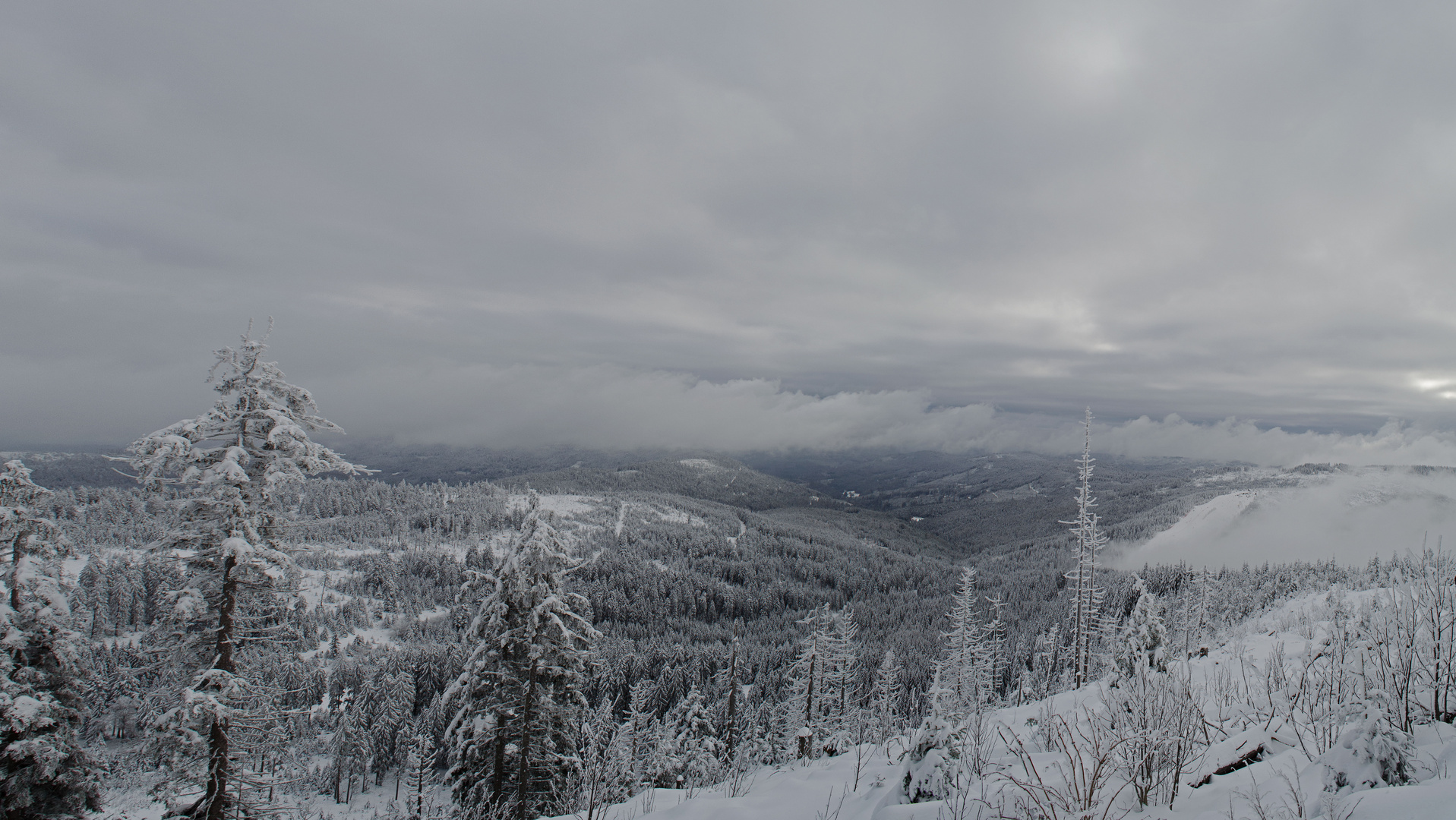 Winterlicher Schwarzwald