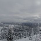 Winterlicher Schwarzwald