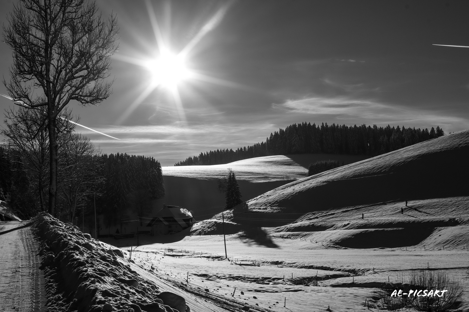 Winterlicher Schwarzwald 