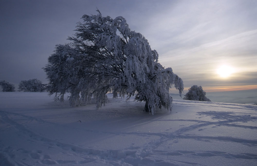 Winterlicher Schwarzwald