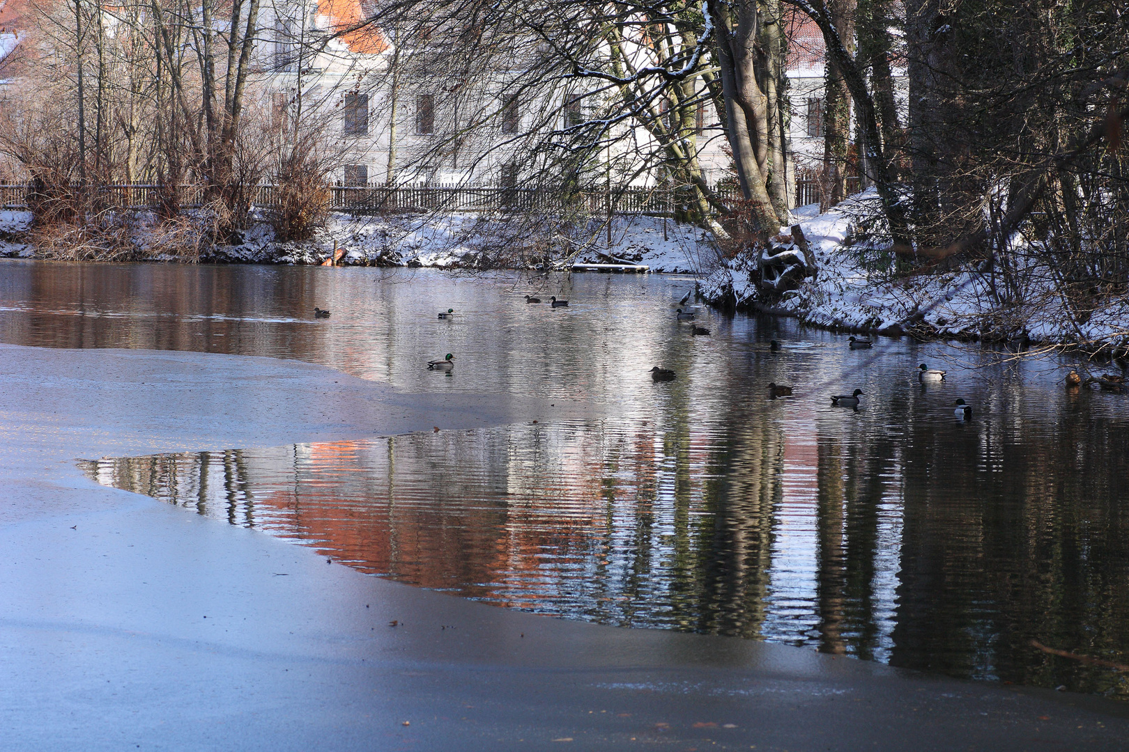 Winterlicher See