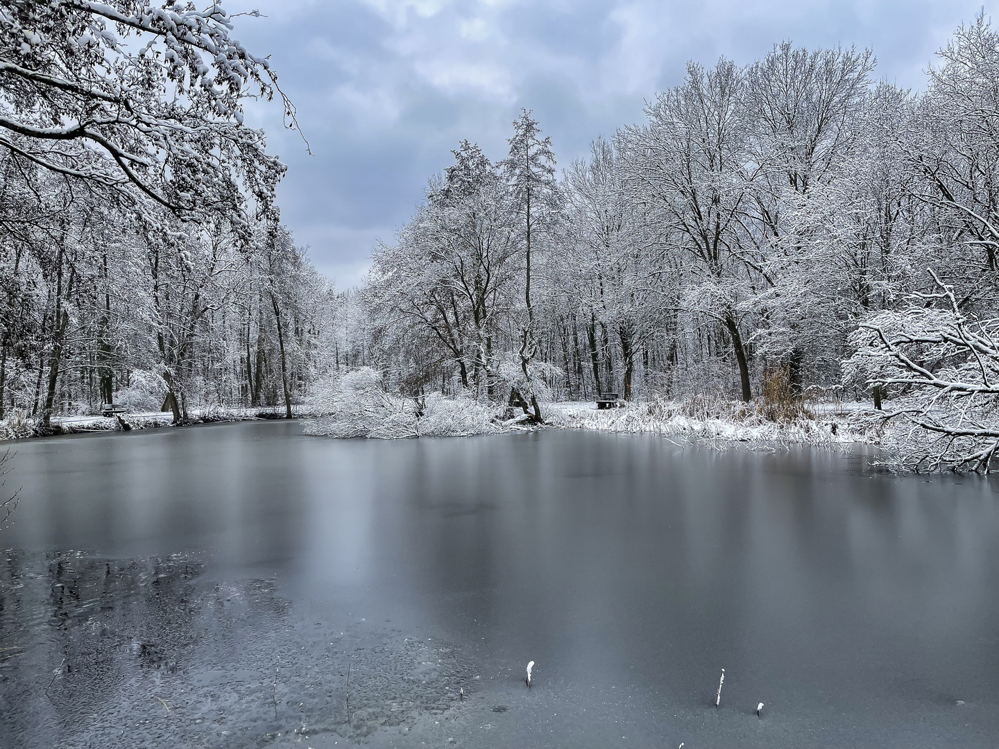 Winterlicher See