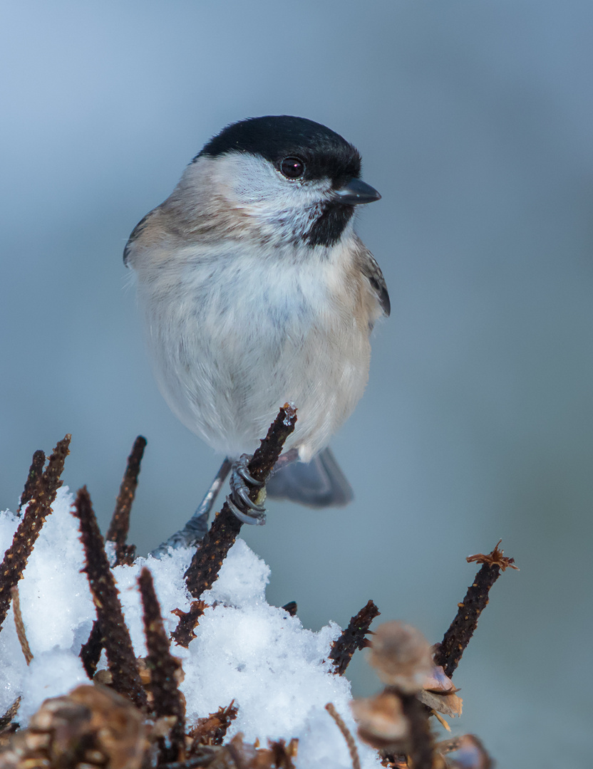 Winterlicher Sitzplatz