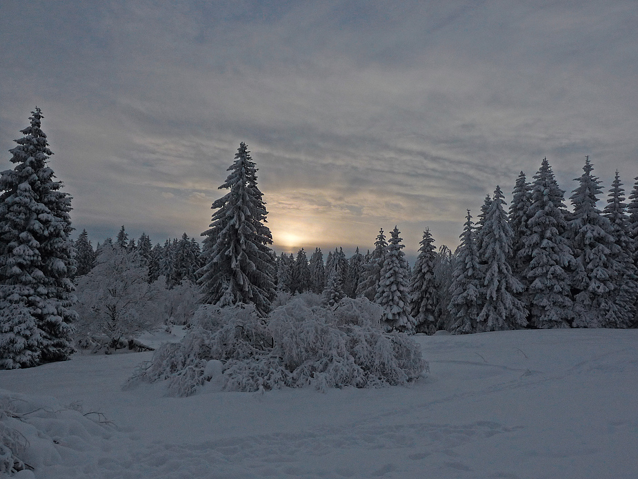 winterlicher Sonnenaufgang