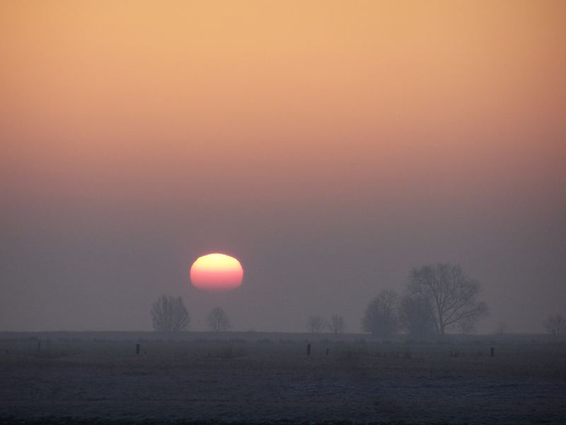 Winterlicher Sonnenaufgang