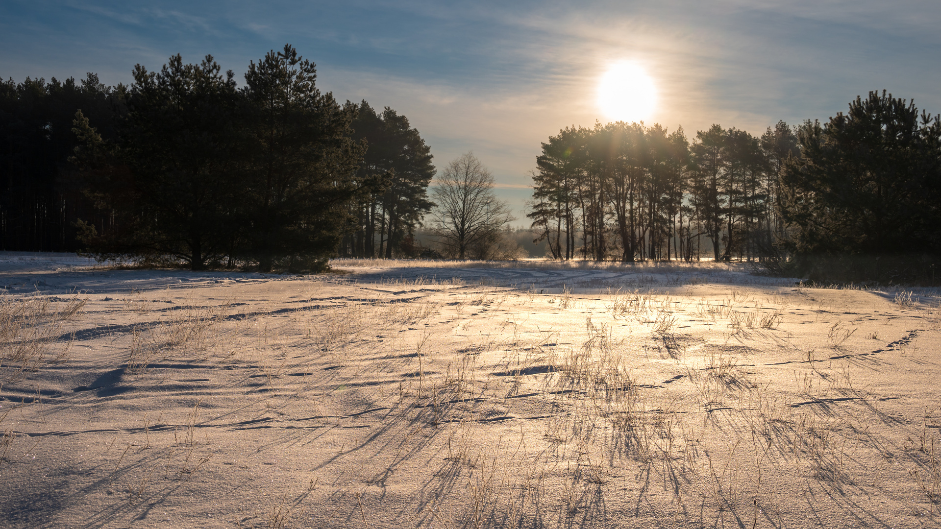 Winterlicher Sonnenaufgang