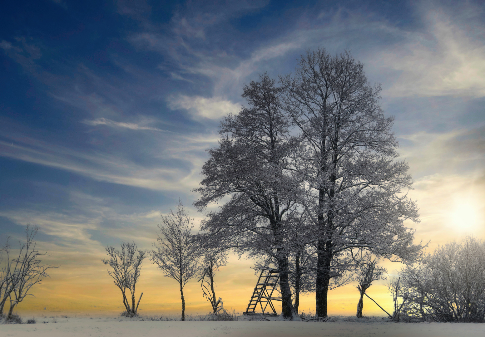 Winterlicher Sonnenaufgang