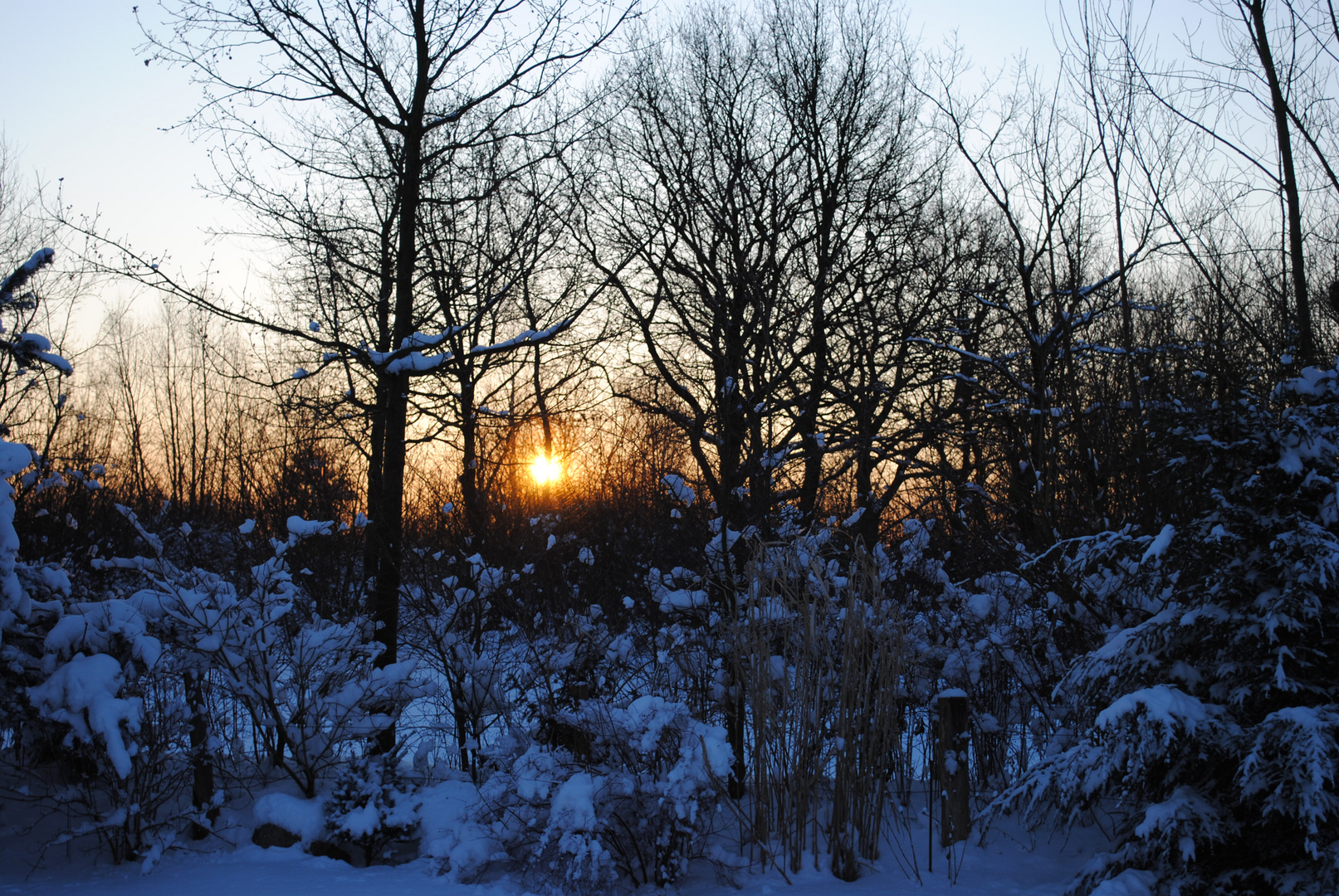 winterlicher Sonnenaufgang