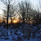winterlicher Sonnenaufgang
