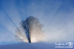 Winterlicher Sonnenaufgang