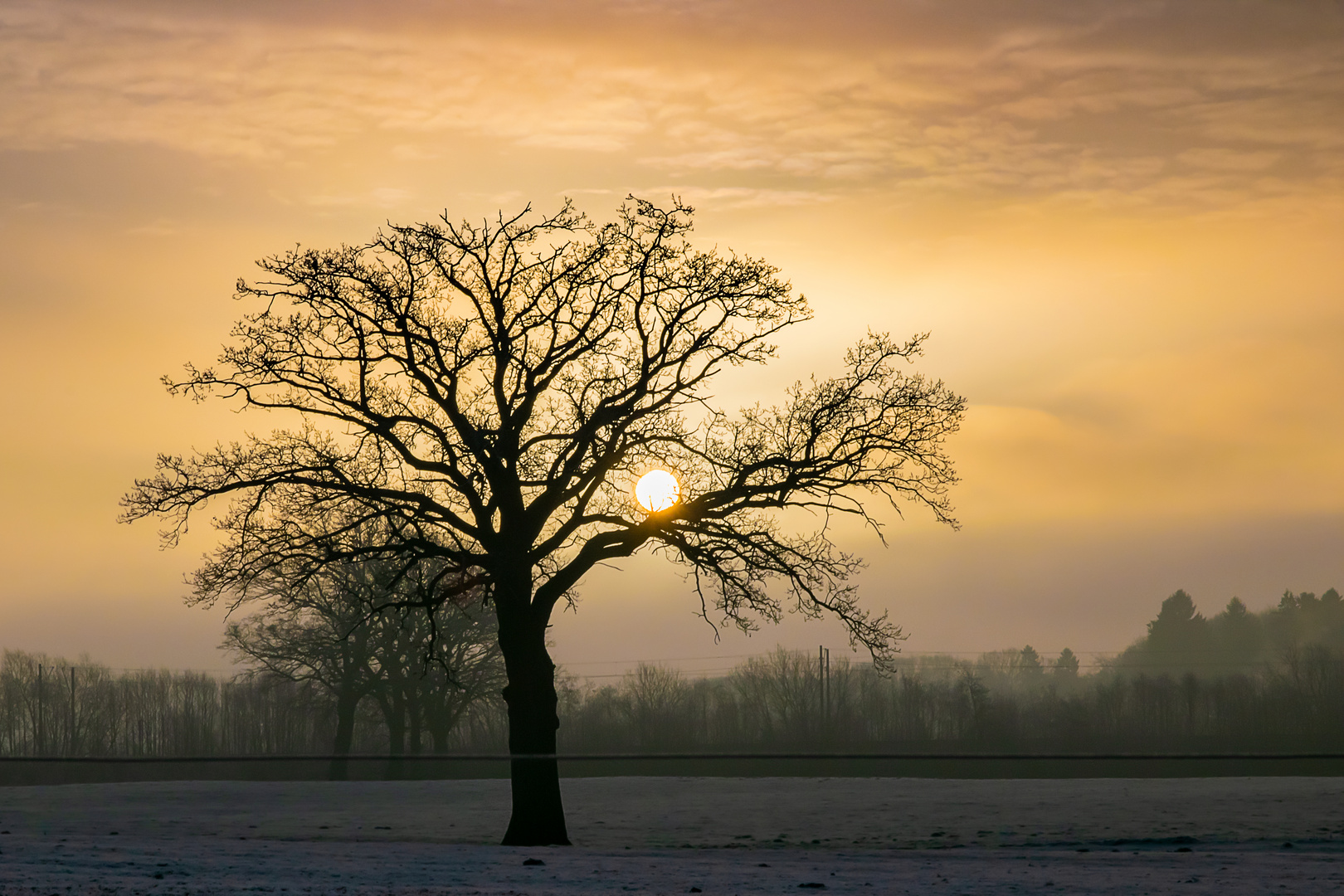 Winterlicher Sonnenaufgang