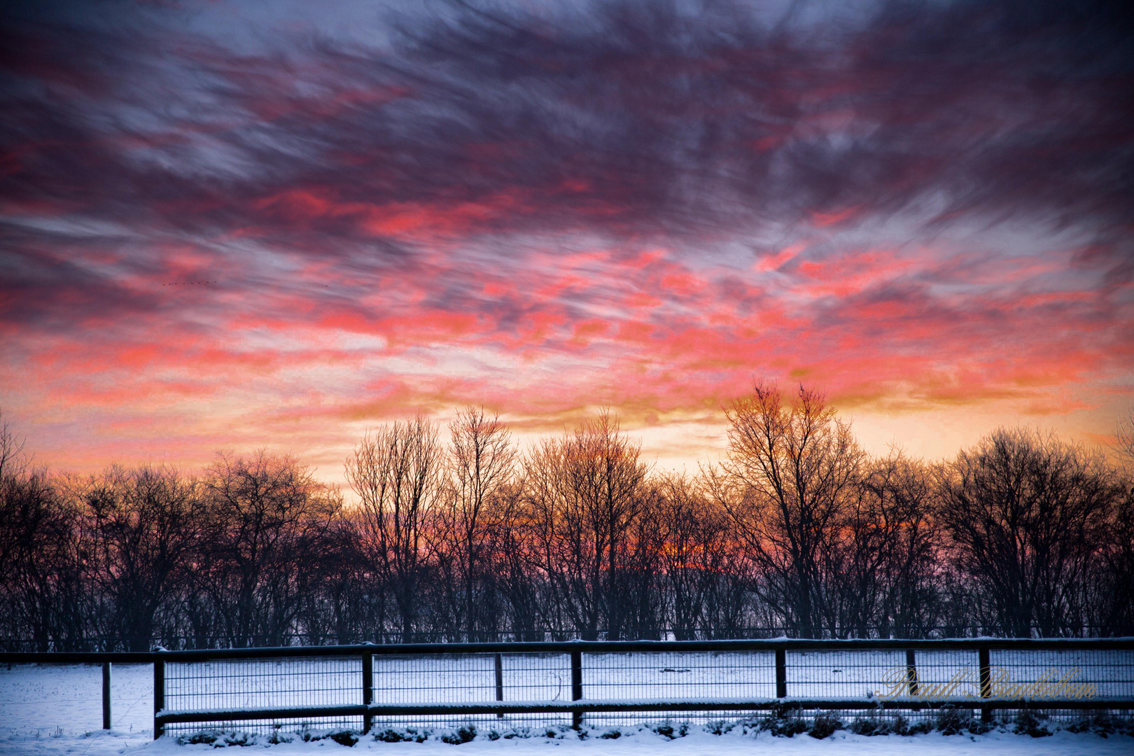 Winterlicher Sonnenaufgang