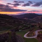 "Winterlicher" Sonnenaufgang am Kaiserstuhl