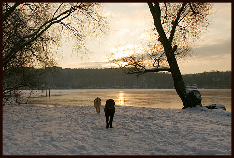 Winterlicher Sonnenaufgang am Stößensee II