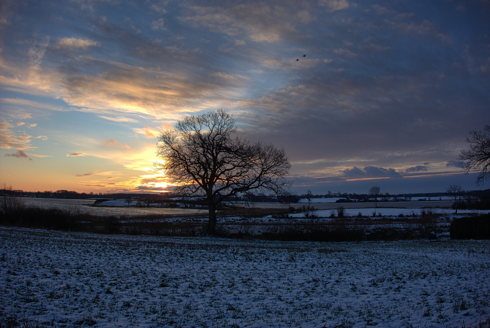 Winterlicher Sonnenaufgang an der Schlei